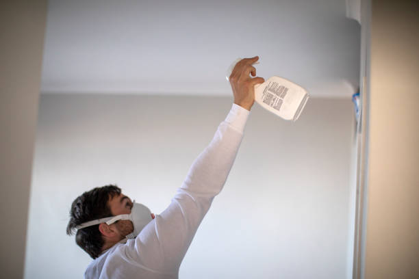 Best Home Mold Removal  in Otisville, NY