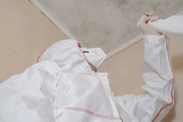 Best Crawl Space Mold Removal  in Otisville, NY