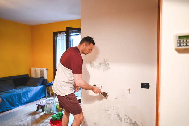 Best Affordable Mold Removal  in Otisville, NY