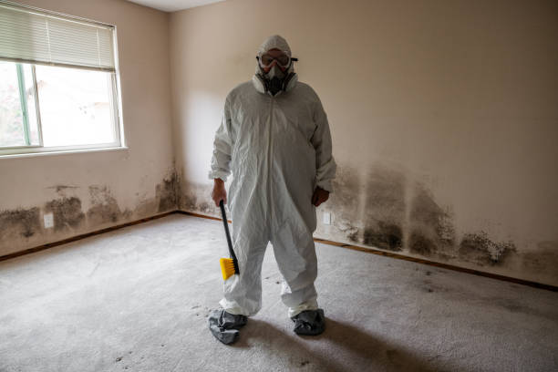 Professional Mold Removal in Otisville, NY